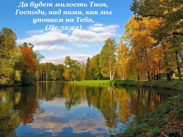 ������� �� ����������� ��� ����������.&nbsp;

��������:	fb908a1c022e8b05b41db3fe2229532a.jpg&nbsp;
����������:	26786&nbsp;
������:	79.0 ��&nbsp;
ID:	577