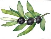 ������ ��� Olga-olivfka