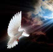 ������ ��� ����