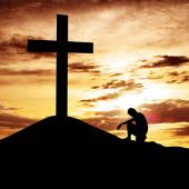 ������ ��� ���������