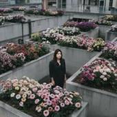 ������ ��� �a���