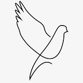 ������ ��� �������